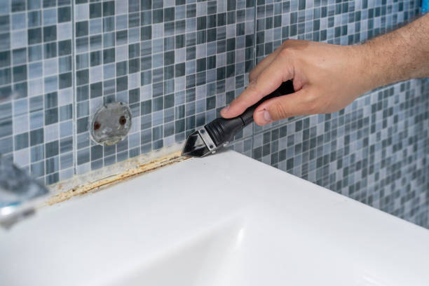 Best Commercial Mold Remediation in Sylacauga, AL