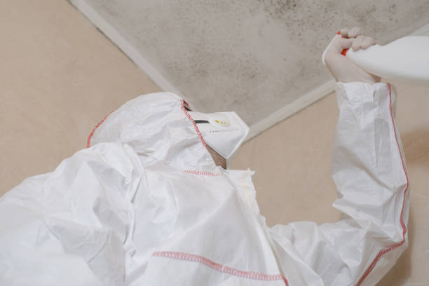 Best Industrial Mold Remediation in Sylacauga, AL